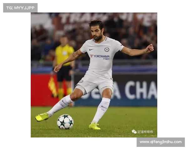 全面解析欧冠与法甲英超意甲之间的结构规则与竞争差异全景观察解析